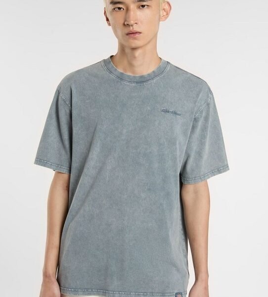 Dickies T-shirt