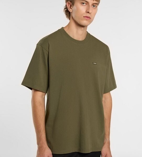 Dickies T-shirt