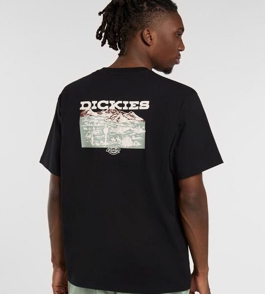 Dickies T-shirt