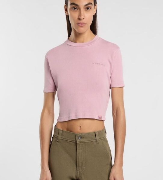Dickies T-shirt